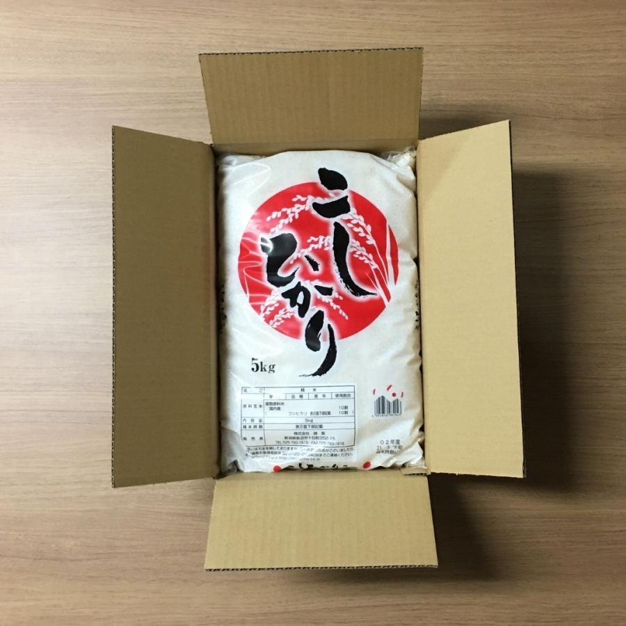 米 お米 10kg コシヒカリ こしひかり 国産 5kg×2袋 送料無料 令和4年産