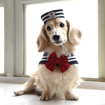 寵物水手服套組-海軍帽+水手領 (附蝴蝶結 & 水手結)