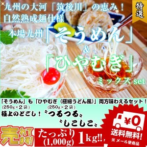 熟成そうめん（素麺） ＆ ひやむぎ（冷麦） お取り寄せ 1,000ｇ たっぷり1キロ コンビセット にゅうめん 細うどん 保存食 乾麺 備蓄食