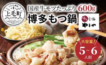 国産牛モツたっぷり600g！大容量5-6人前　やまやの博多もつ鍋セット　TY2802