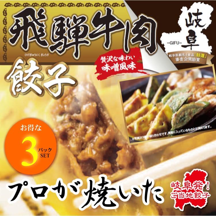 飛騨牛肉餃子 お得な10個入り(180g)×3パックSET　岐阜 餃子 お取り寄せ 冷凍