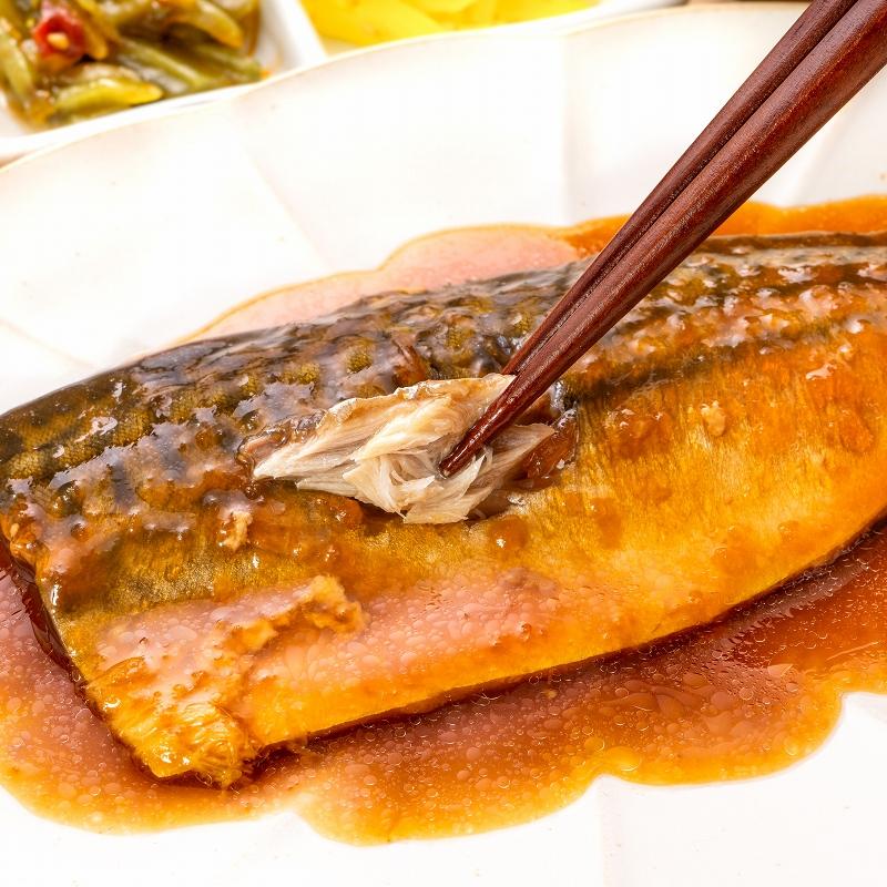 煮魚セット 魚菜パックセット×2 合計10パック 銀鮭塩焼 さばの塩焼き さば味噌煮 さばのみぞれ煮 かれい煮付け 焼き魚 塩焼き 煮付け