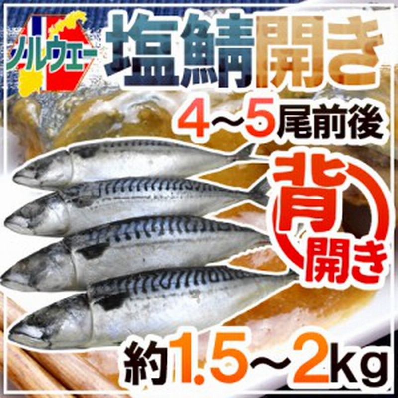 送料無料　4～5尾前後　約1.5～2kg　”塩鯖開き”　塩サバ　LINEショッピング　ノルウェー　背開き