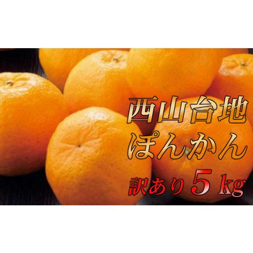 ふるさと納税 高知県 室戸市 訳あり　ポンカン　５ｋｇ