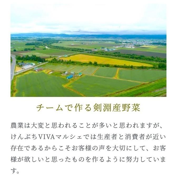 訳ありコロール2キロ北海道剣淵町産じゃがいも