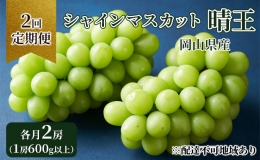 ぶどう 定期便 2024年 先行予約 シャイン マスカット 晴王 各月2房（1房600g以上） 2回コース マスカット ブドウ 葡萄  岡山県産 国産 フルーツ 果物 ギフト