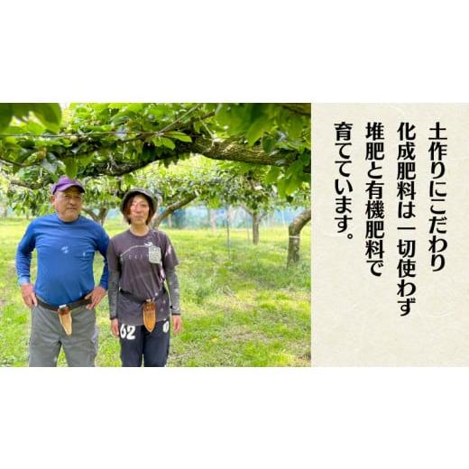 ふるさと納税 茨城県 桜川市  茨城県産 梨 豊水と秋月の食べ比べセット 約5kg 6玉〜12玉(茨城県共通返礼品 かすみがうら市)  (2024年9月上旬発送…