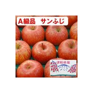 サンふじ青森りんご（約5kg）A級品 竹嶋有機農園 直送につき代引・同梱不可