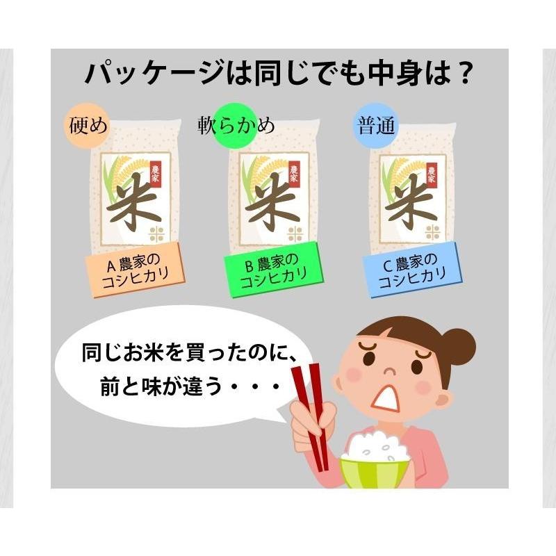 ＼新米入荷／ 米 玄米 20kg きぬむすめ 厳選農家 玄米 白米・小分け選択可 令和5年兵庫県産 産地直送