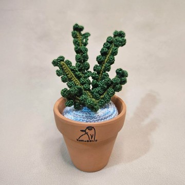 觀葉植物 美鐵芋/金錢樹-手作編織植物