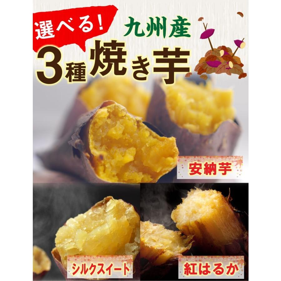 選べる焼き芋 500g×1袋 冷やし焼き芋 安納芋 シルクスイート 紅はるか 鹿児島県産 送料無料 クール