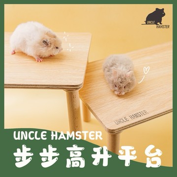 ｜勞叔步步高升平台｜倉鼠 造景 平台 小寵防水平台 多功能防水平台 防水防刮 櫸木 白楊木平台 兔子 天竺鼠 刺蝟 躲避