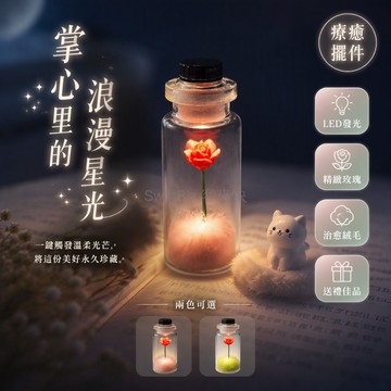 台灣出貨✨ 星空玫瑰許願瓶 精緻發光玻璃瓶 畢業送禮禮物 粉色綠色療癒系 木塞燈光款 學生紀念品 浪漫創意小物