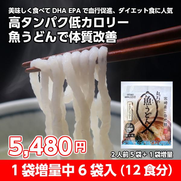 魚うどん  ダイエット  高タンパク 低カロリー ダイエット食  送料無料 （北海道、沖縄その他離島は別途）