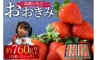 予約受付！＜高級いちご「おおきみ」 （15粒入り×2パック 合計約760g以上）＞2024年1月下旬～4月末迄に順次出荷