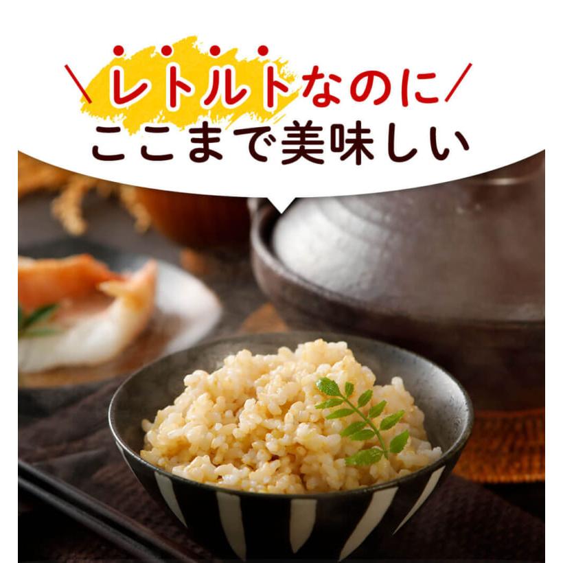 玄米ごはん レトルト エコパック 200g×30袋 無農薬・無化学肥料 令和5年福井県産新米 特別栽培米 コシヒカリ使用 送料無料