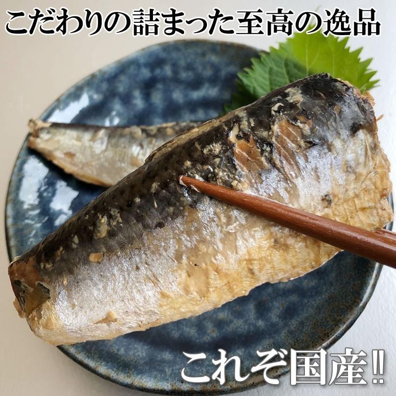 いわし 水煮 無添加 国産 360g 訳あり メール便 送料無料 [いわし水煮120g×3袋 BS] ネコポス 即送