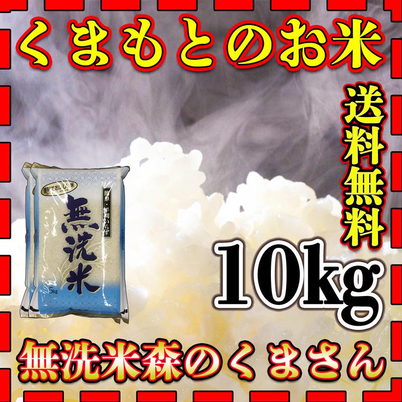 お米 米 10kg 白米 送料無料 無洗米 熊本県産 森のくまさん あすつく 新米 令和5年産 5kg2個 くまもとのお米 富田商店 とみた商店