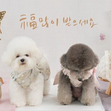 韓國品牌【梨花娘總代理】🐾韓國BAILEY 🐶秋冬新品 🧨新年編織結寶貝寵物掛福袋香包韓服(2色)