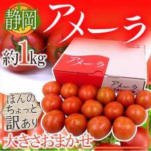 静岡県 ”高糖度フルーツトマト アメーラ” 大きさおまかせ 約1kg ほんのちょっと訳あり 化粧箱入り