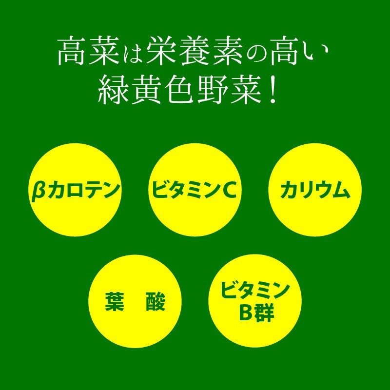 前田家 国産 からし高菜 計300g 150g×2 辛子高菜 九州 旨辛 高菜 グルメ食品 お試しセット おつまみ ご飯のお供 ピリ辛 漬け物