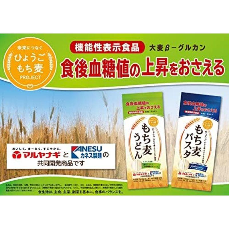 カネス製麺 マルヤナギ もち麦パスタ 240g×4個