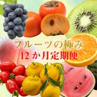 わかやま野菜＆フルーツの極み定期便！人気の柑橘はもちろん、桃・トマト・柿など旬にお届け♪