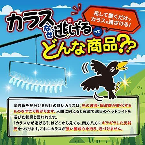 カラスなぜ逃げる? ニューどこでもタイプ 10個セット 撃退率95％以上 カラス撃退 カラス除け