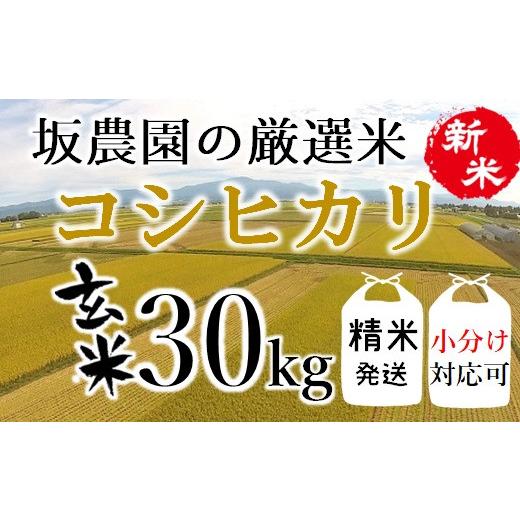 ふるさと納税 山形県 三川町 坂農園の厳選米！コシヒカリ玄米30kg