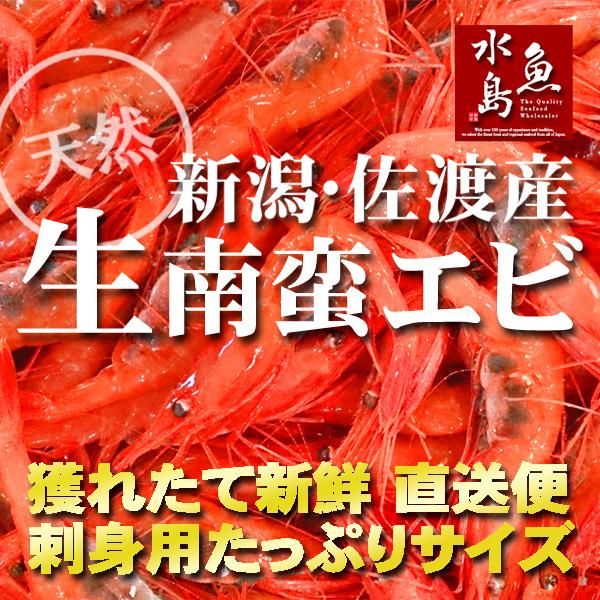 甘エビ「新潟・佐渡産 南蛮エビ」獲れたて生・刺身用 大サイズ1kg（冷蔵）