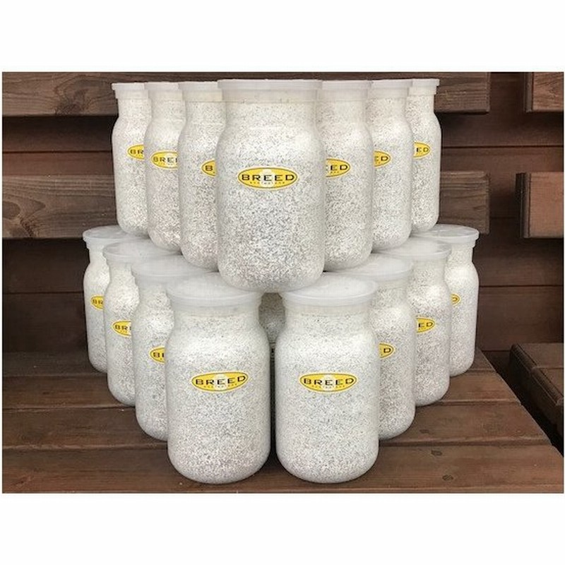 3200菌糸ボトル 15本セット