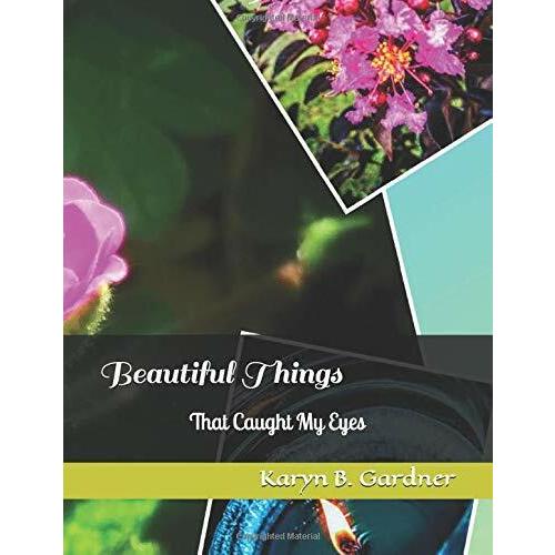 Beautiful Things: That Caught My Eyes (Paperback)