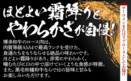 数量限定　博多和牛ロースしゃぶしゃぶ用　250g