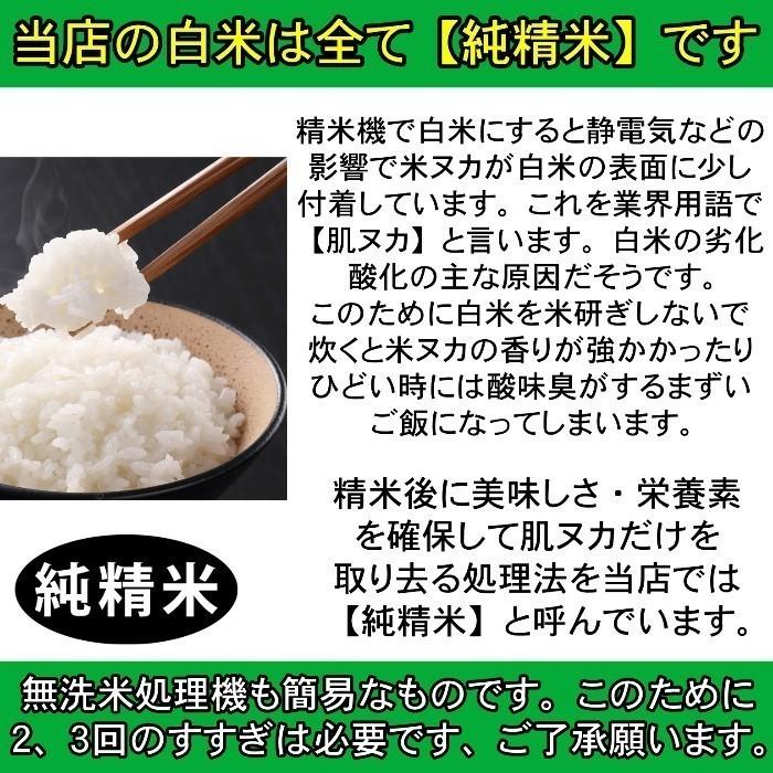 米 お米5kg×4袋 白米 ５年産新米  純精米 会津米 コシヒカリ 一等米使用 送料別料金 ふくしまプライド。体感キャンペーン（お米） 20kg コメ