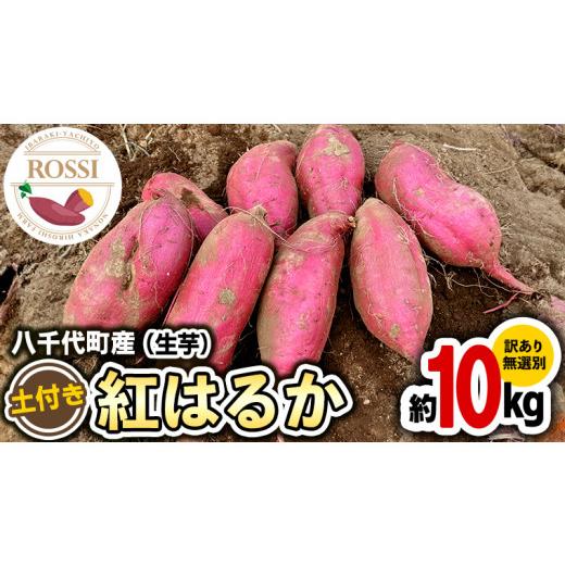 ふるさと納税 茨城県 八千代町 訳あり 茨城 八千代町産 さつまいも 紅