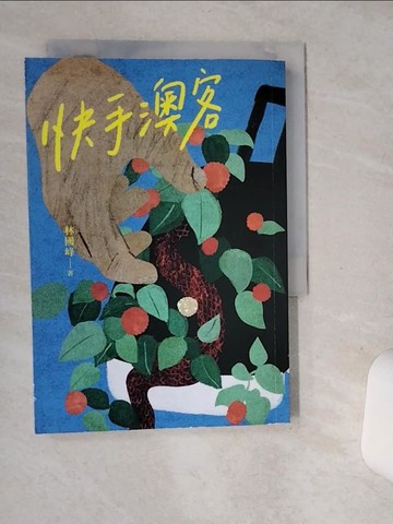 【書寶二手書T1／一般小說_SSE】快手澳客_林國峰