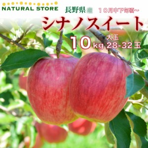 [予約 10月10日-11月30日の納品]  シナノスイート 28玉- 32玉 （大玉） 10kg 箱 りんご 長野県産 ギフト用