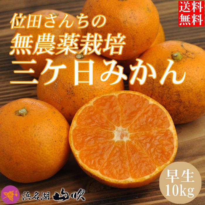 無農薬 無肥料栽培 三ケ日みかん 早生 10kg  産地直送 送料無料 位田さんちのみかん