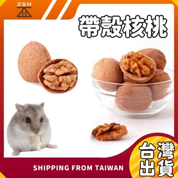 【台灣現貨發貨!美國進口!小寵磨牙!營養品】 帶殼核桃 倉鼠磨牙零食 小寵零食 黃金鼠 烤核桃  磨牙零食點心 倉鼠零食