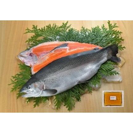 ふるさと納税 海峡サーモン船上活〆3.0kg 1本（冷蔵） 青森県むつ市