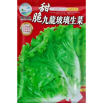 【原廠包裝】玻璃生菜種子 脆嫩奶油萵苣 免煮沙拉必備 陽台盆栽快收 四季可種 新手友善 生菜自由 家庭水耕也適合