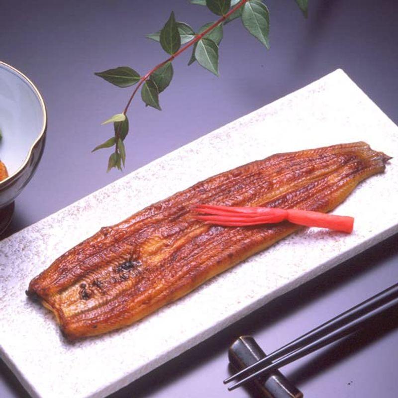 浜名湖山吹 うなぎの真空長蒲焼き(大) 2本