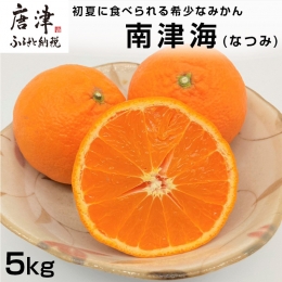 『予約受付』南津海(なつみ) ハウス栽培 唐津産 5kg みかん ミカン 果物 フルーツ 柑橘