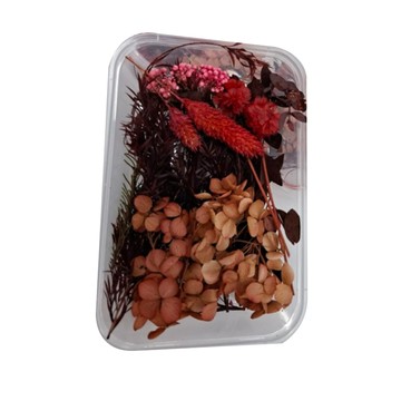 A-ONE 匯旺乾燥花 A05 聖誕光輝  1個