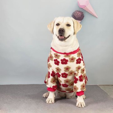 狗狗衣服大型犬冬拉布拉多金毛保暖衣服網紅狗狗冬季羊羔毛衣服