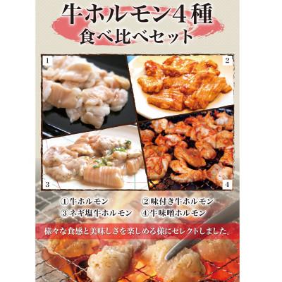 ふるさと納税 八代市 牛ホルモン　食べ比べセット　4種モツ　計2kg