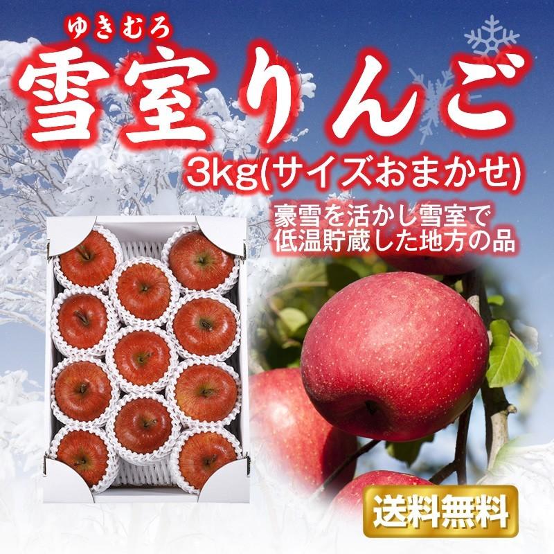 りんご 送料無料 数量限定 山形県産 雪室りんご 3kg（サイズおまかせ）お届けは2月下旬から