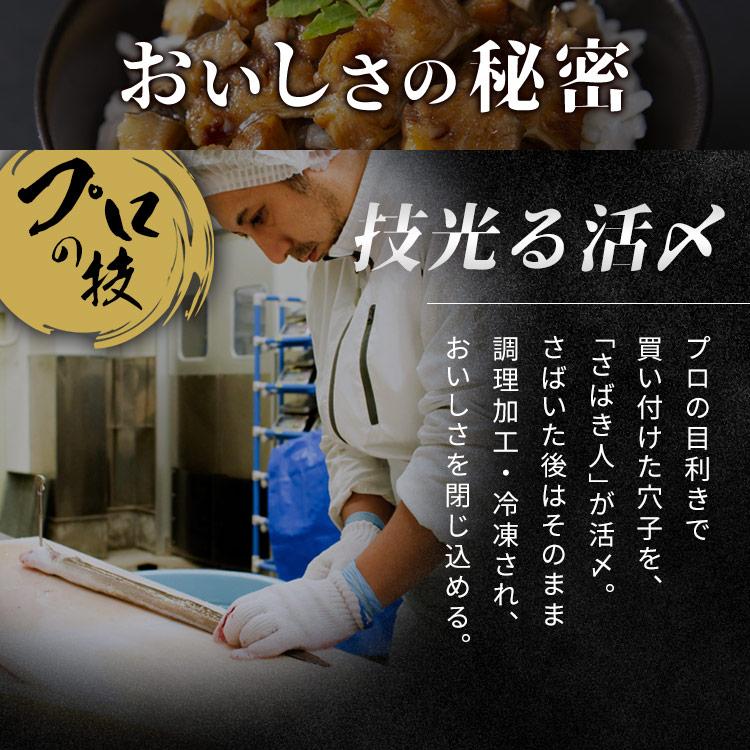 アナゴ 三陸産 あなご ひつまぶし 伊達あなごの刻み煮 穴子 70g×3パック セット 刻みアナゴ 三陸未来 さんりくみらい 代引不可