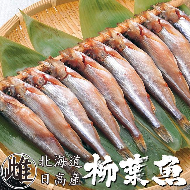 本ししゃもメス30尾(北海道産本柳葉魚)卵を抱えた雌の子持ちシシャモ 北海道の本シシャモ海鮮ギフト 御中元や御歳暮等にも