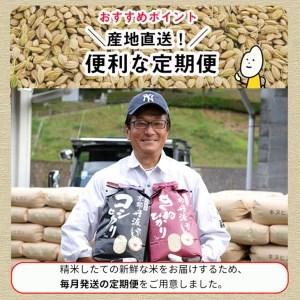 ふるさと納税 訳あり 定期便 新米 5kg 8ヶ月 京都丹波米 こしひかり 白米 8回定期便 5kg×8回 計40kg ※精米したてをお届け 《緊急支援 米・.. 京都府亀岡市